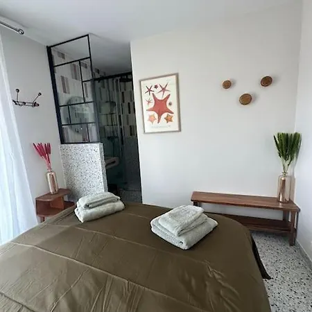 Claire Front De Superbe Vue Bassin Arcachón